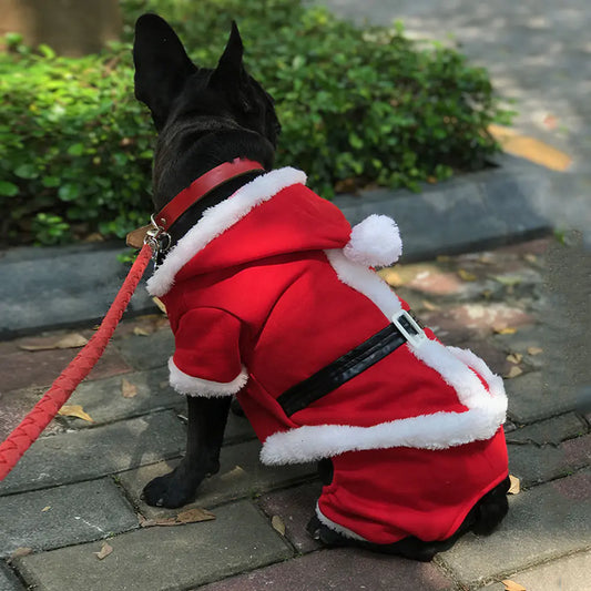 Winter Christmas Dog Outfit with Warm Fleece Lining