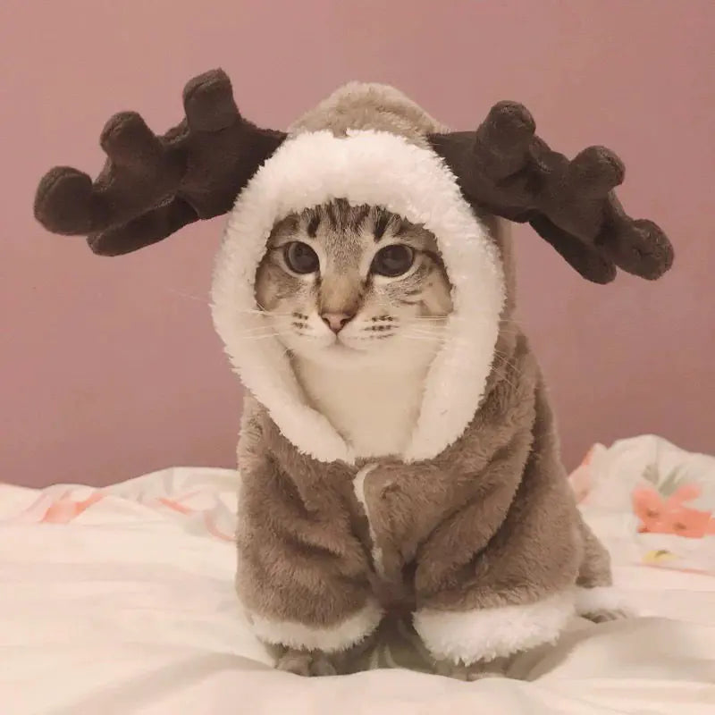 Autumn and Winter Christmas Clothes for Cats and Dogs